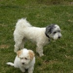 Dougie with his daddy Dougie with his daddy