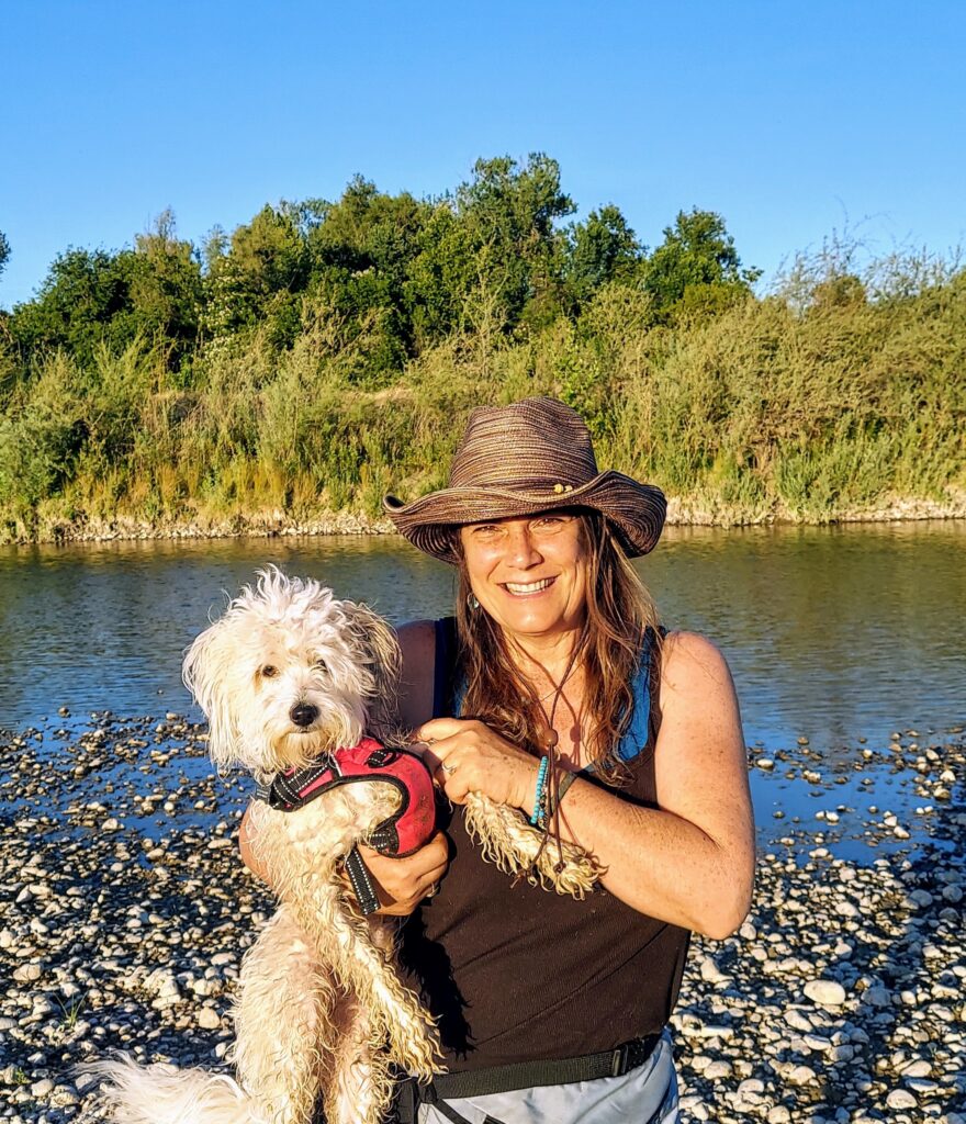 Care & Training - Coton de Tulear | Chico Cotons