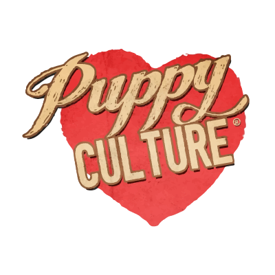 Coton de Tulear Puppies | Chico Cotons
